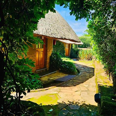 Bird Haven Guesthouse Hlotse Ngoại thất bức ảnh
